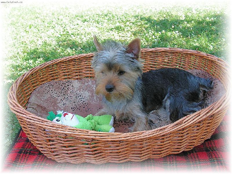 Foto: Mat�sek a pohoda