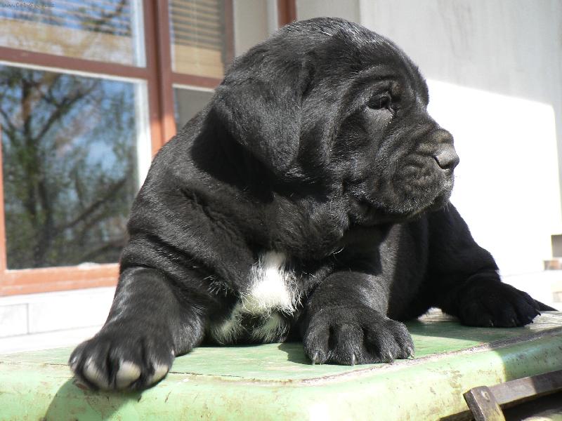 Foto: Guard na v�ze-p�i 9-ti kilech :)