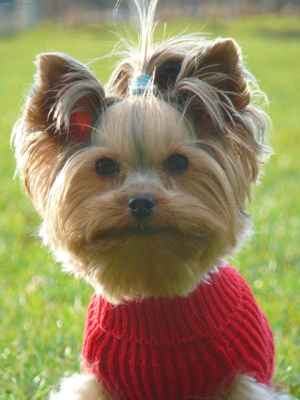 Foto: Modelka Nellinka-www.nellinka.wbs.cz