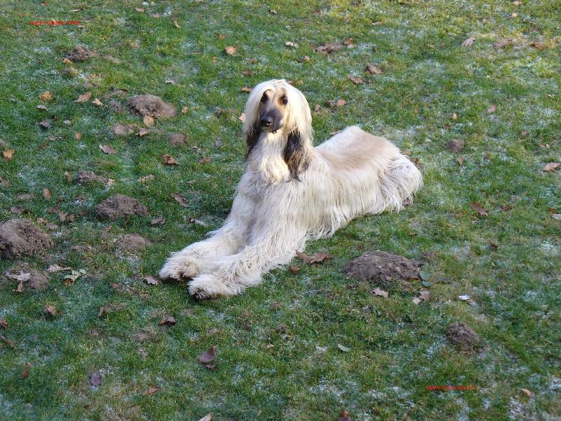 Foto: Aragorn Chlupat� Poklad-www.afgan.wbs.cz