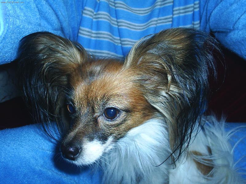 Foto: Na�e Delinka