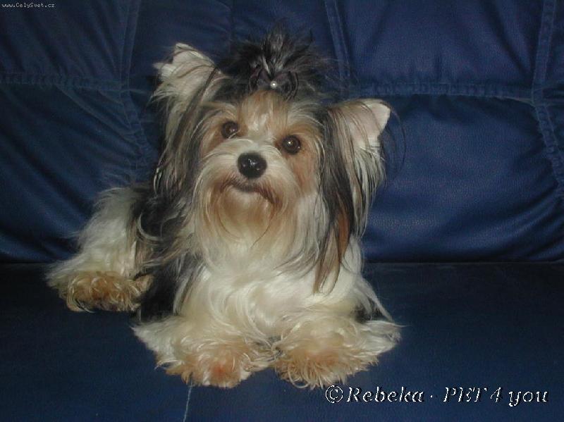 Foto: Princezna Sisi