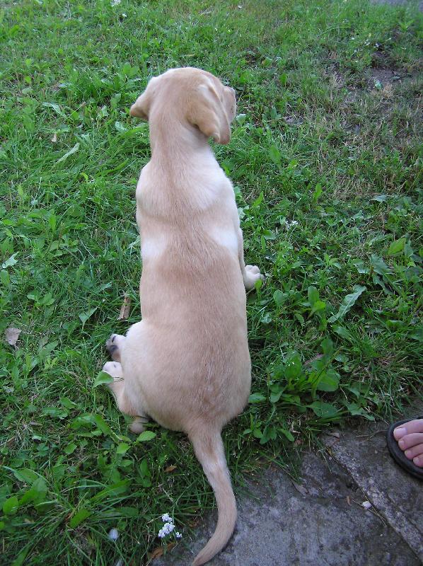 Foto: Andy(End�sek) 10ti t�denn�-jsem ura�en� s nik�m nemluv�m