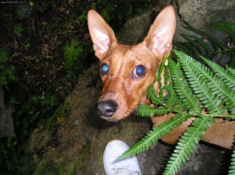 Foto: Mairra Marrieta Roz�rka-...a pr�� a pr�� a pr�� a.........