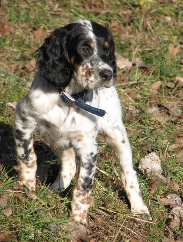 Foto: Fai Leslie Leven-��astn� �����tko