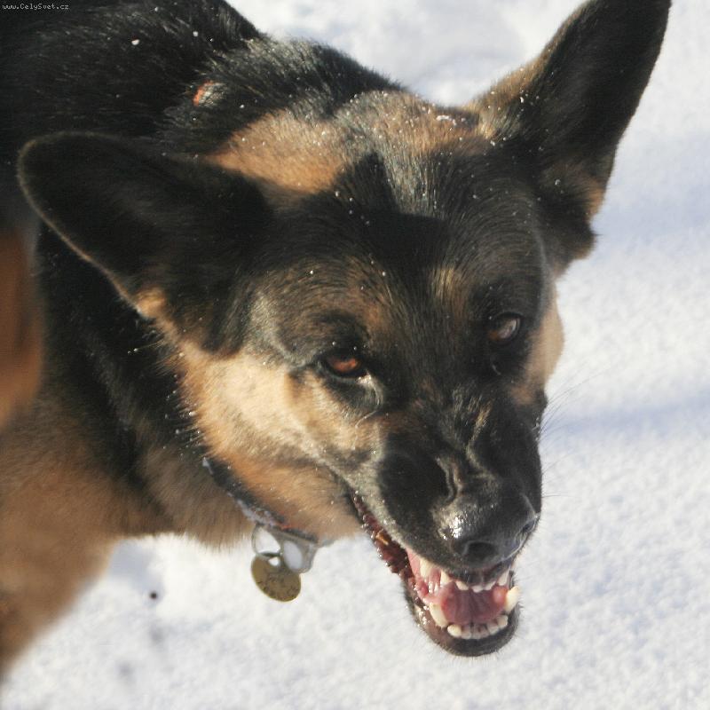 Foto: �sm�v pros�m-nesahej!