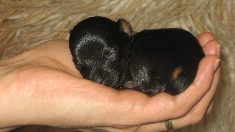 Foto: Princezna na hr�ku