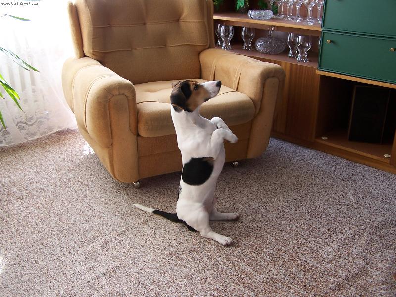 Foto: Max-prosim prosim