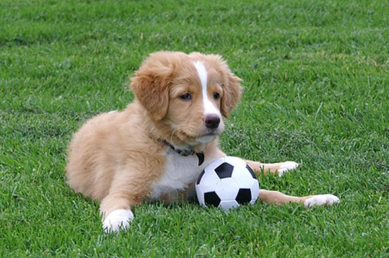 Foto: Nen� rozko�n�? :o*-NSR