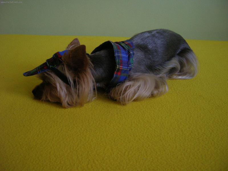 Foto: Beru�ka-ale s tou k�iltovkou jste m� v�n� na�tvali