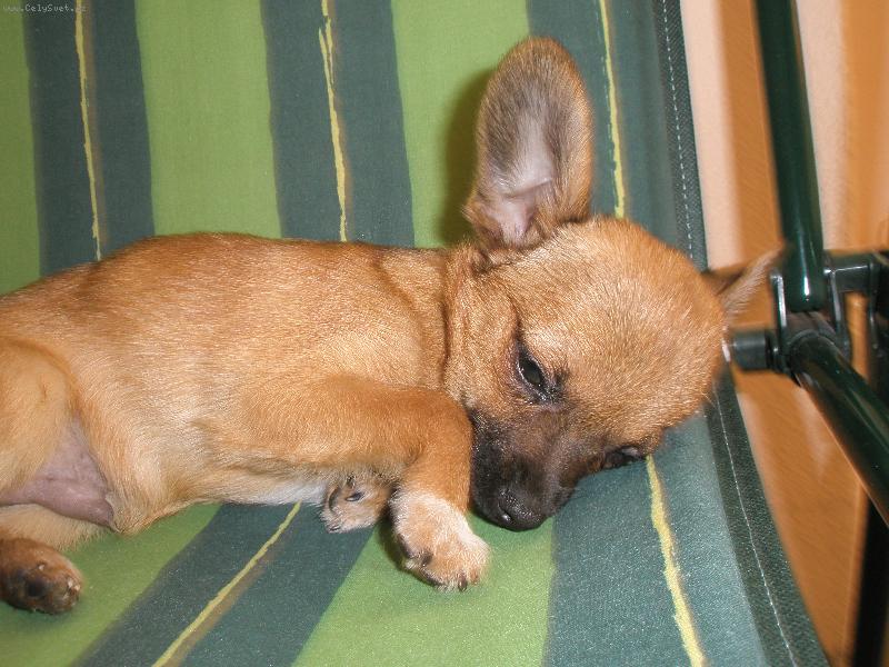 Foto: KARL��EK-K�J�K