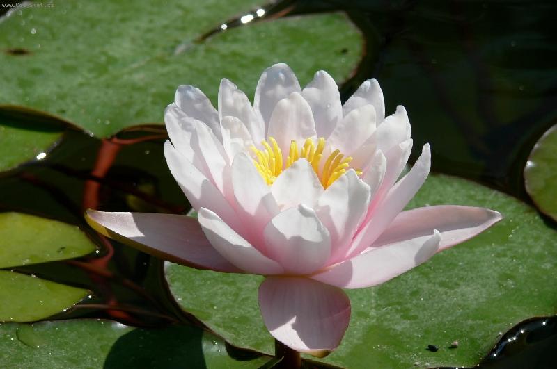 Foto: Ve�ern� r��e na vod�