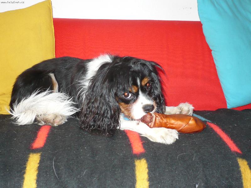 Foto: To byla dobr�tka