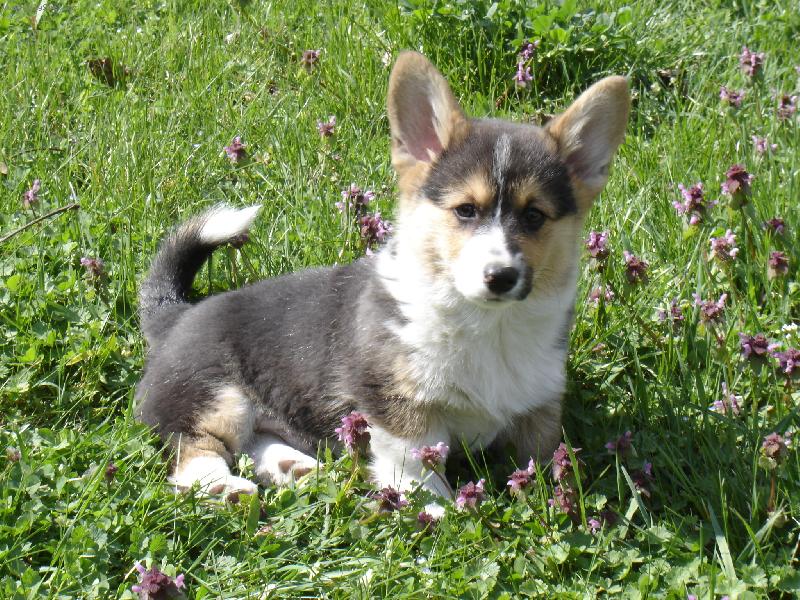 Foto: S�a-3teniatko v 4 mesiacoch