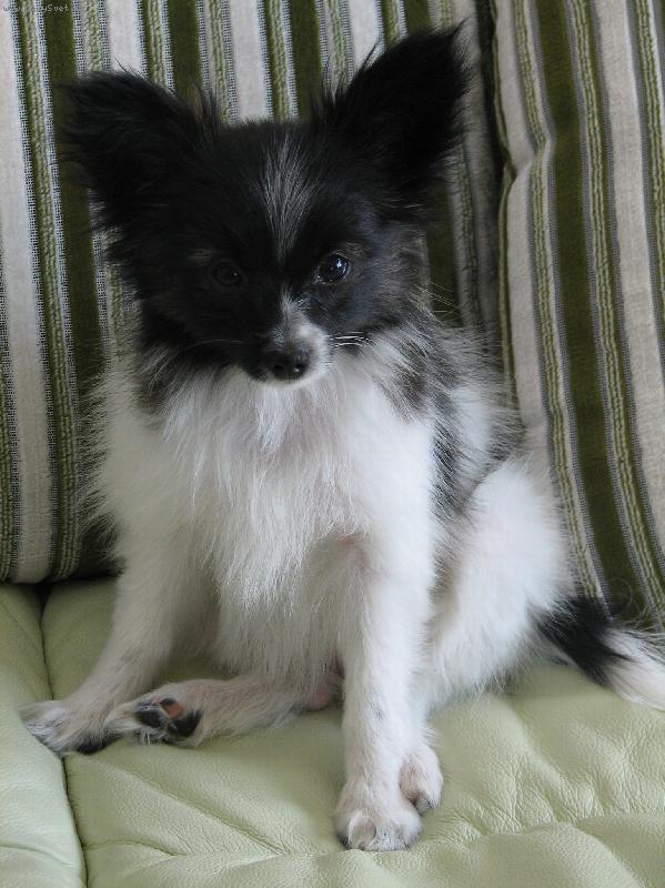 Foto: Bianca-koukn�te na mn�