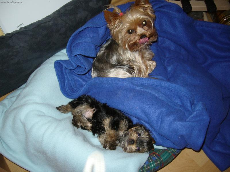 Foto: Mia & Monty z D���na