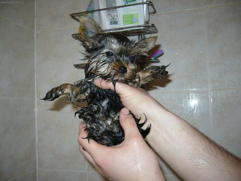 Foto: Monty z D���na-Prvn� koup�n�:-)