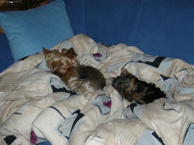 Foto: Mia & Monty z D���na-No comment...