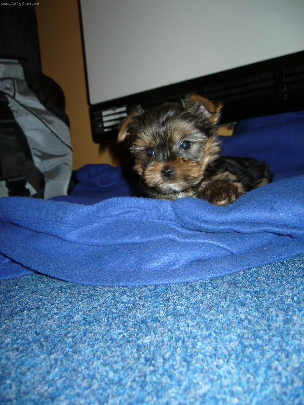 Foto: Monty z D���na-To mi je�t� nest�ly ou�ka:-)