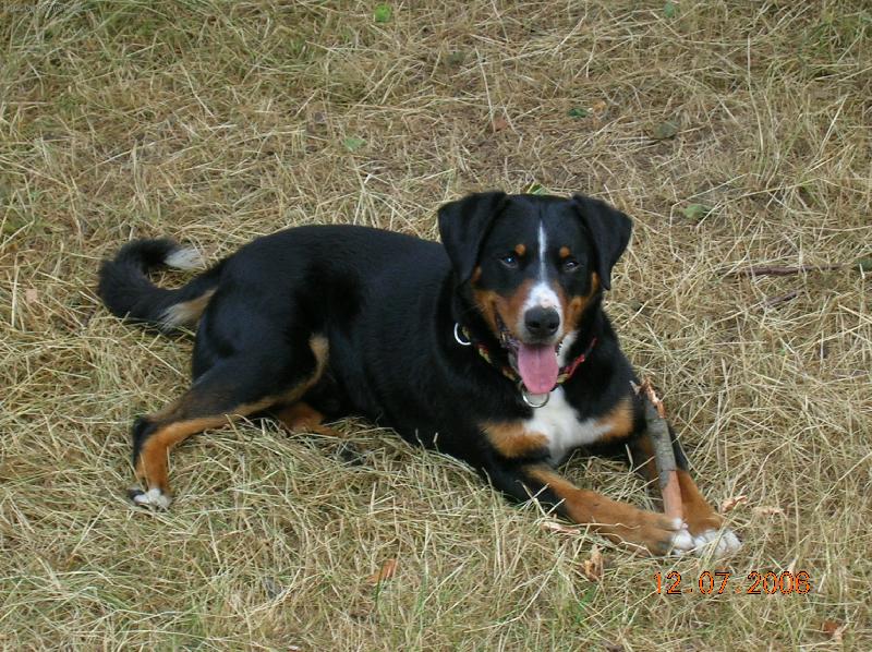 Foto: m�j mil��ek