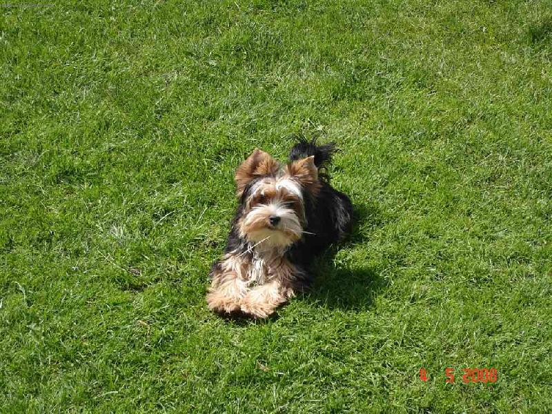 Foto: Ladynka-Na slun��ku je mi dob�e