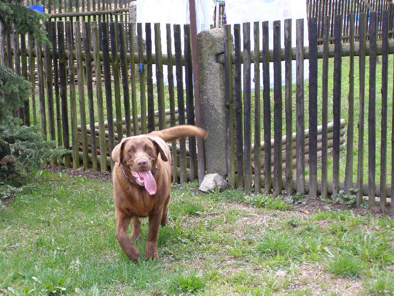 Foto: Rocky-to je m�j raj�n