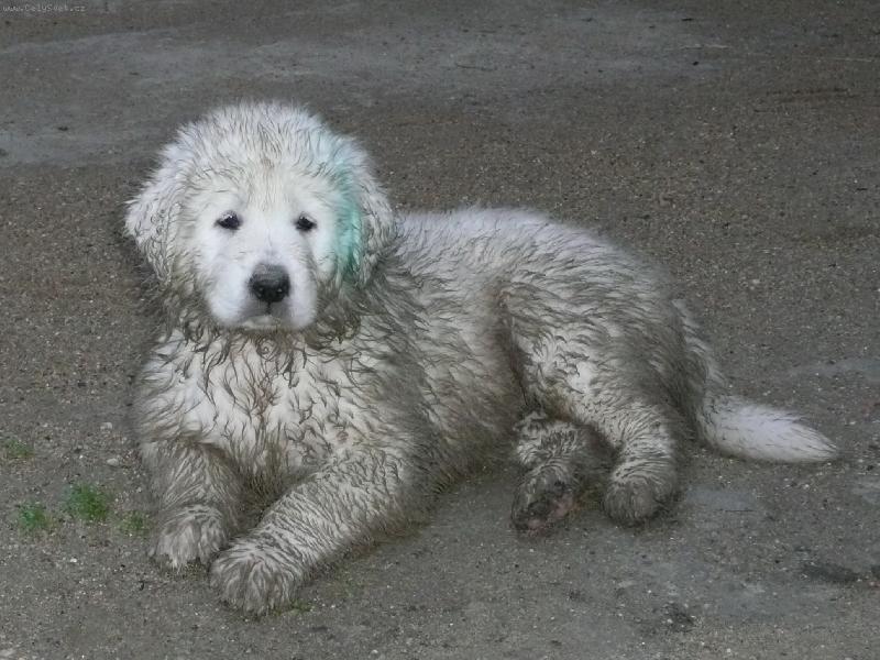 Foto: Jsem je�t� �uva� nebo u� fundl�k?