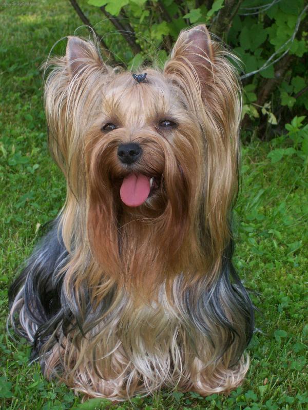 Foto: Bessy-www.glamor-angel.estranky.cz