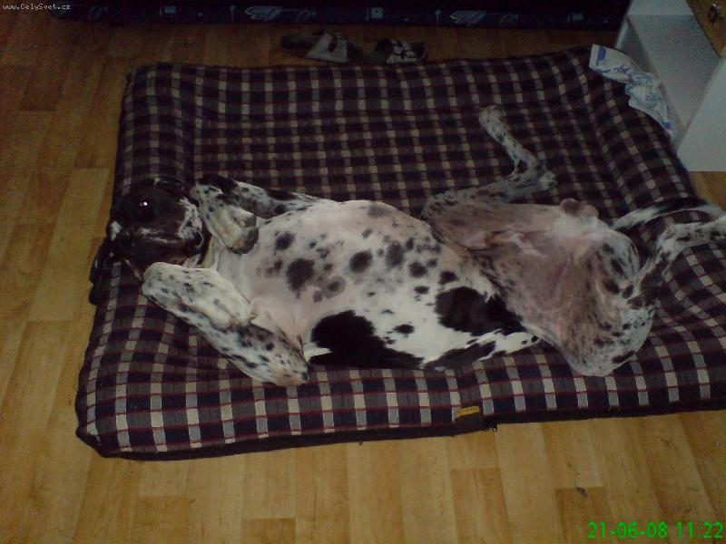 Foto: Ruben doma-Takhle to m�m r�d.