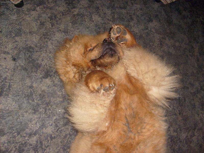 Foto: Jonita Haltrava-Jou se styd� ...