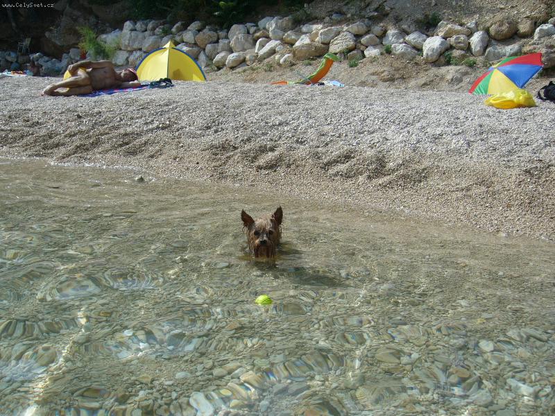 Foto: Mia z D���na-V Chorvatsku