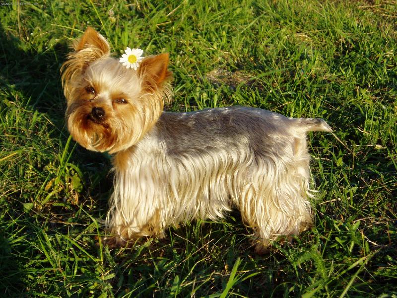 Foto: Ad�lka-Ad�lka