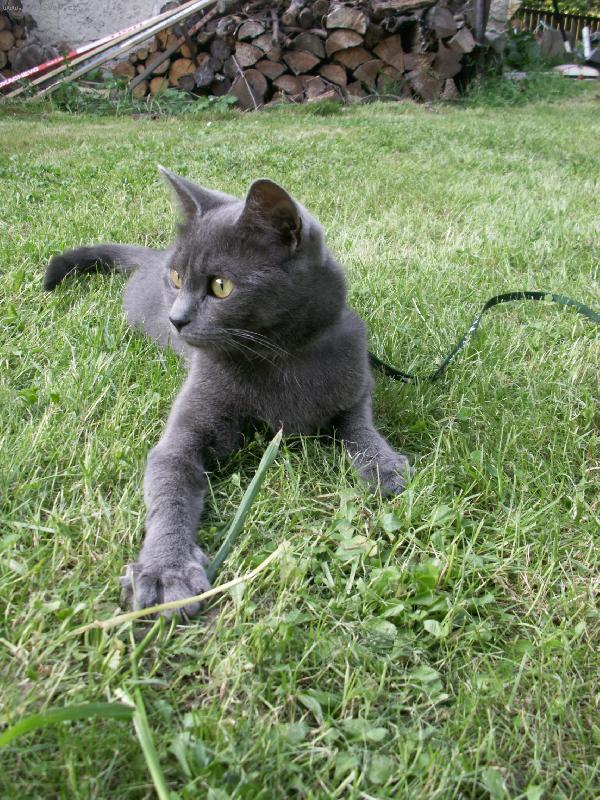 Foto: LUCINKA-to je na�e �i�ina, kterou jsme si po��dili z �tulku