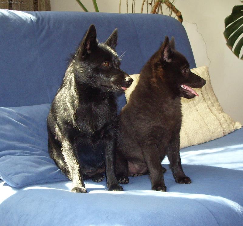 Foto: www.klemi.estranky.cz