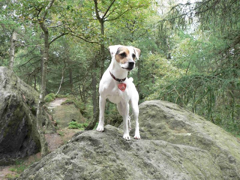 Foto: FATTY - nej��astn�j�� mezi kameny, p�ek�kami,....