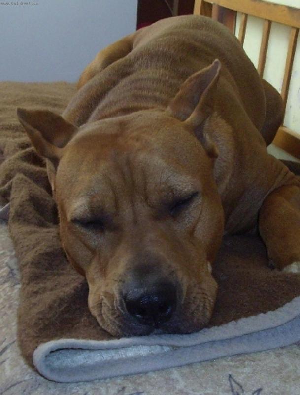 Foto: www.denelislucky.estranky.cz