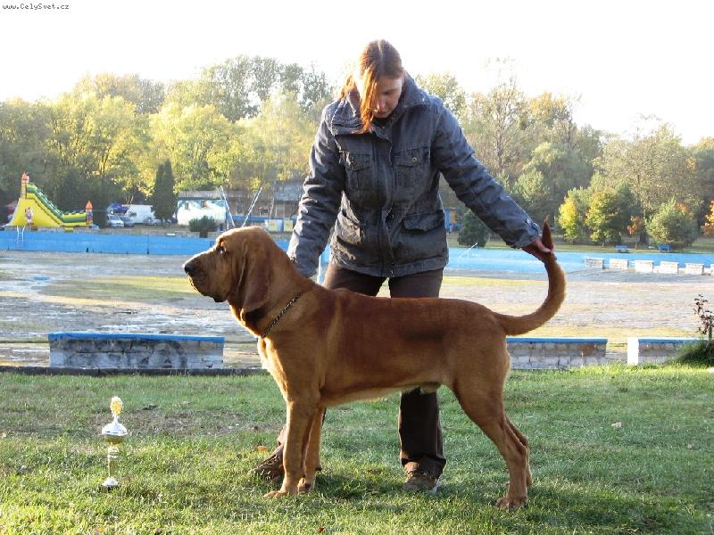 Foto: Almond 9 m�s�c� 3.Nej BIS junior Rybnik 2008