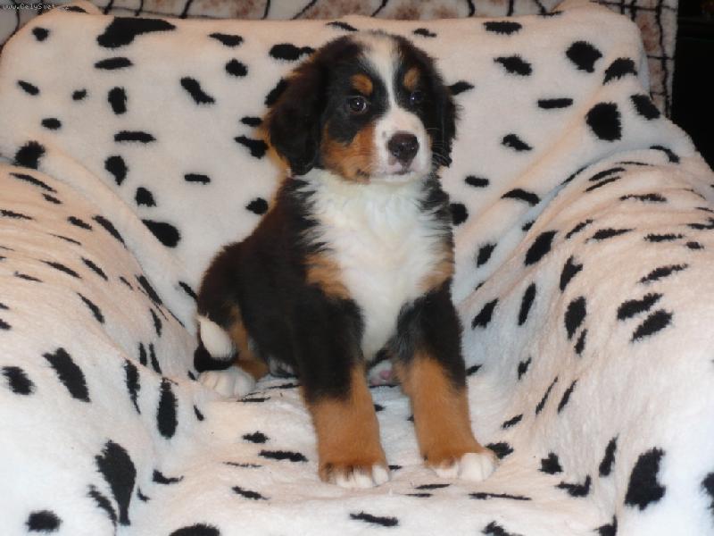 Foto: V  7. t�dnech