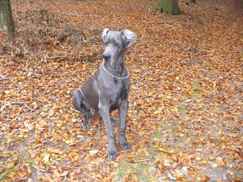 Foto: Buraczek Helza