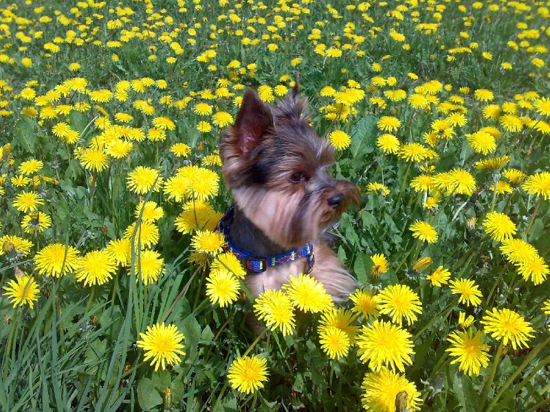 Foto: pampeluchy-pampeluchy