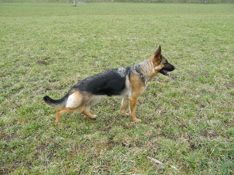 Foto: Rita Gard Bohemia