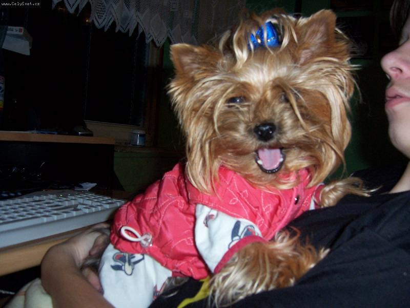 Foto: Nikynka-v� �e si k sm�chu