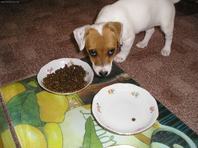 Foto: Tak u� m�m domov-Abbey doma