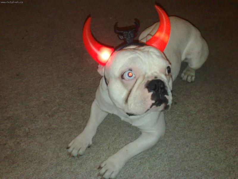 Foto: To jsem j� Albi!-Tak m� tu m�te!