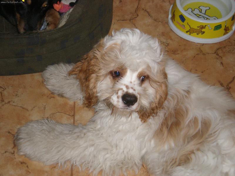 Foto: miminko-Timo je takov� popelnice na �r�dlo