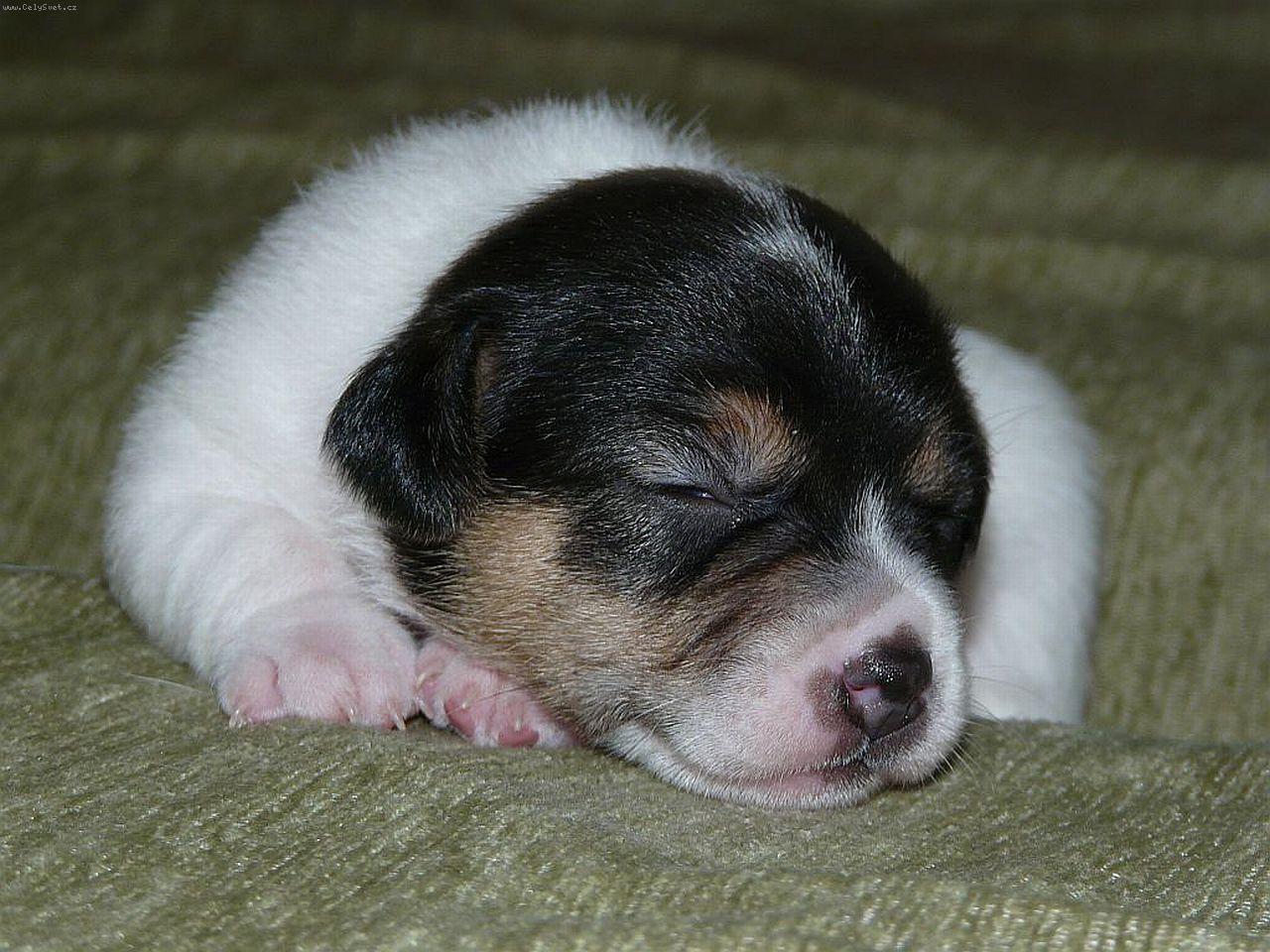 Foto: Carolina Herrera-�t���tko od Andulky