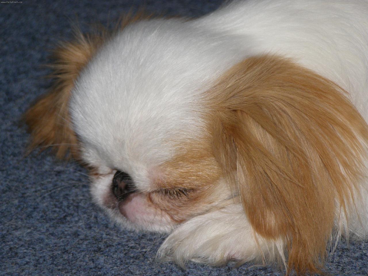 Foto: Emy-j� tak r�da odpo��v�m