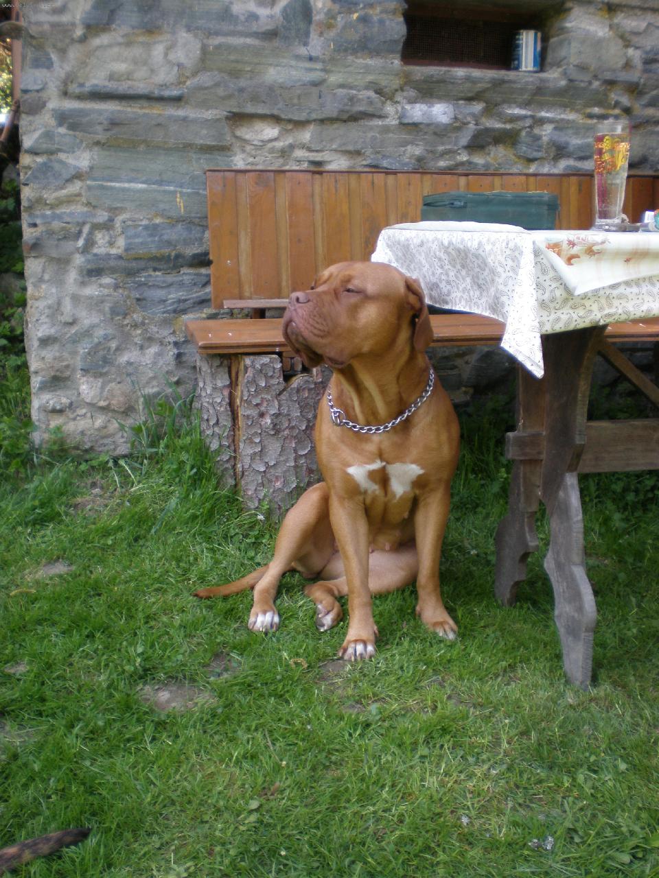 Foto: Arketka(21 m�s�c�)