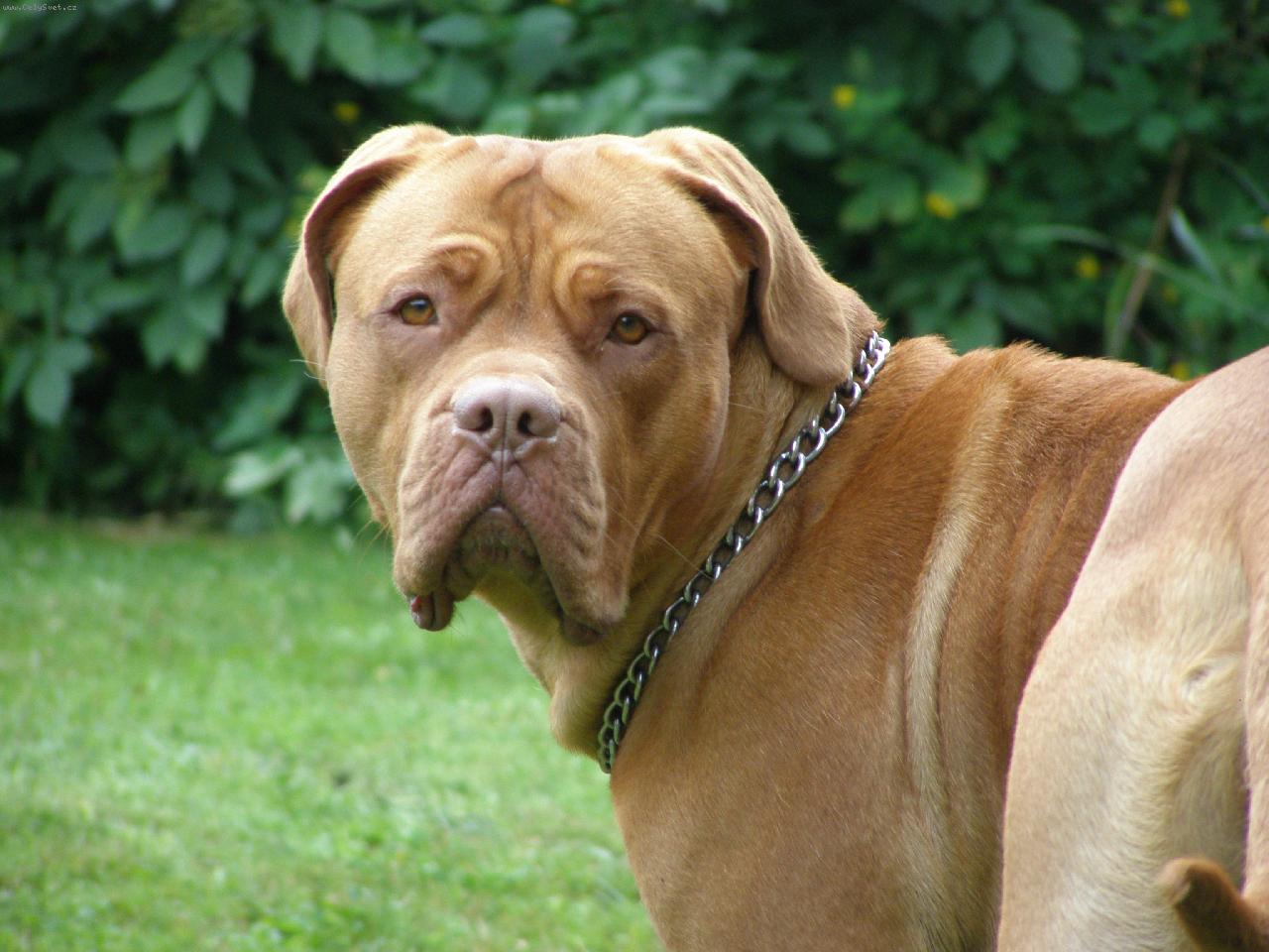 Foto: Modelka-Arletka