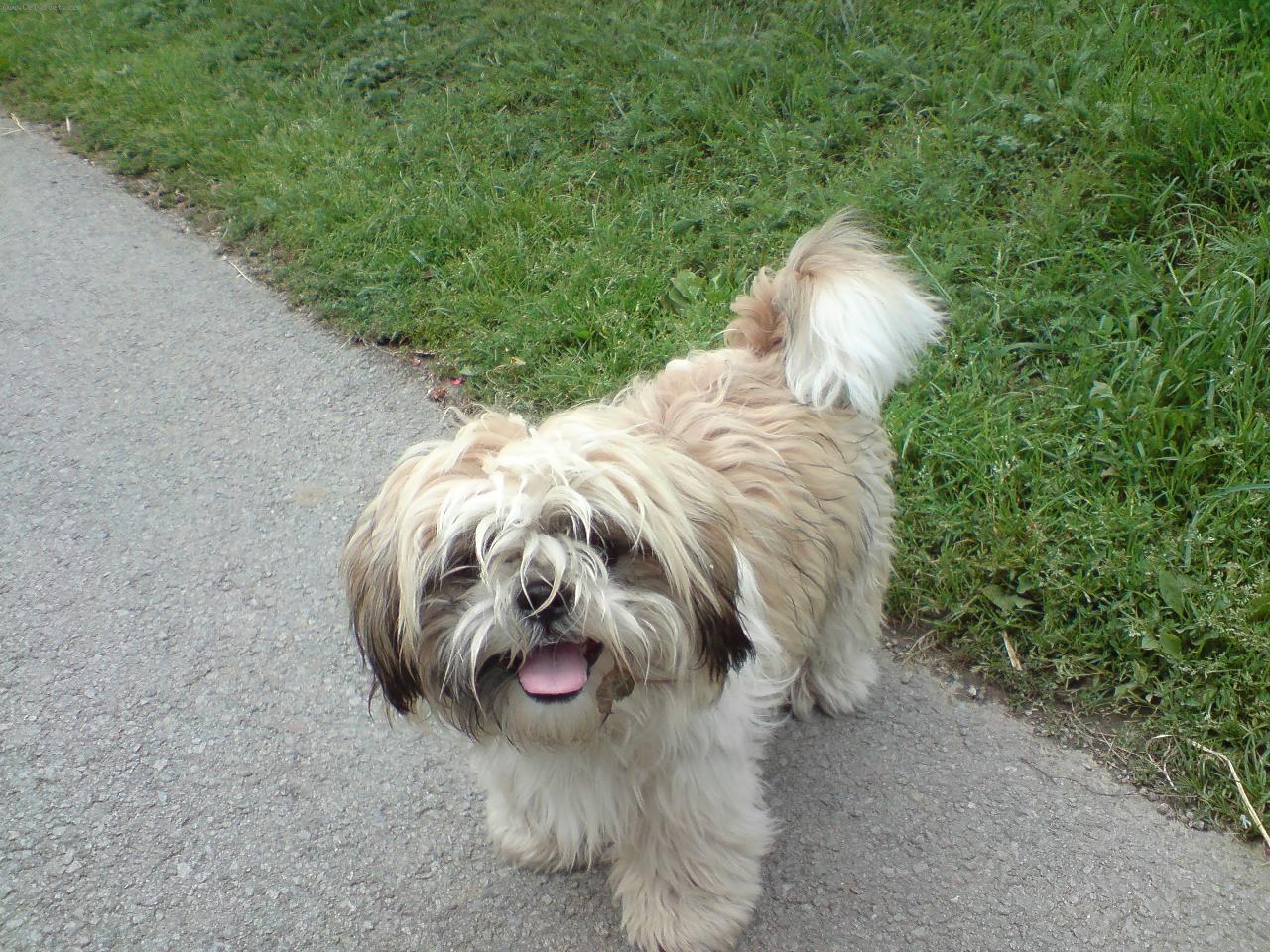 Foto: �iko-na� obl�benec